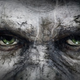 Illustration for article titled Life of the Apes Revealed in emDawn of the Planet of the Apes/em Concept Art